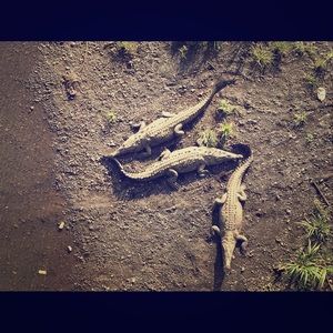 Meet your Posher, Marymary